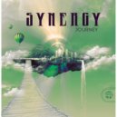 Synergy - The Lake (Original Mix)