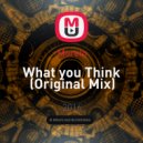 Morelo - What you Think