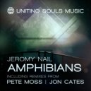 Jeromy Nail - Amphibians (Pete Moss Remix)
