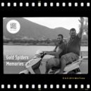 Gold Spiders - Memories (Original mix)