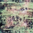 Digital Grass - Mr. Nobody
