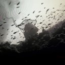 Perilous - American Angels (Original Mix)