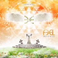 Feel - No More Lies