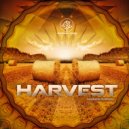 ArtFix - The Ayahuasca Experience (Original Mix)