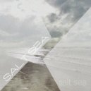 Salt Sea - Closer and Closer (Original Mix)