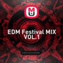 Avare - EDM Festival MIX VOL.1