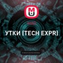 MAD - УТКИ
