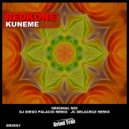 Redkone - Kuneme (DJ Diego Palacio Remix)