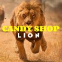 Candy Shop - Sunflower (Original Mix)