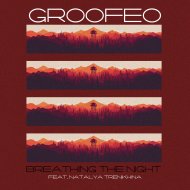Groofeo - Nothing to Think