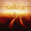 Double Fuse - Walking
