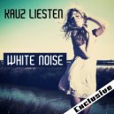 Kauz Liesten - Flight Because of Love