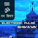 Electronic Pulse - Hall Of Faces