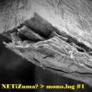 NETiZuma? - Flying into a black hole (Original Mix)