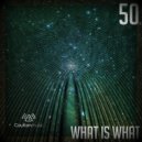 Skymate - What Is What (Original mix)