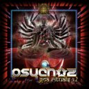 Psychoz - Fragile Art