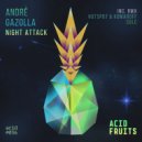 Andre Gazolla - About Me
