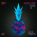 Gabriel Boni & Diamn - Sky