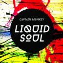 Captain Monkey - Liquid Soul (Original Mix)