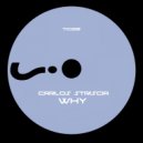 Carlos Striscia - Manana Caliente (Original mix)