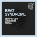 Beat Syndrome - Wondrous (Original Mix)
