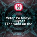 VadaDj - Veter Po Moryu Gulyaet (The wind on the sea walks)