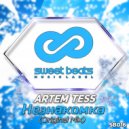 Artem Tess - Незнакомка (Radio Edit)