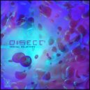 Disect - Continuum Sequence (Original Mix)