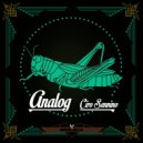 Ciro Sannino - Analog (Original Mix)