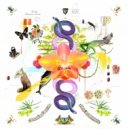 Touchtalk & Toucan - Pieces & Rules (Matt Fear remix)