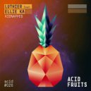 Luthier - Behind The Wall (Original mix)