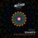 Shampo - Metropole (Original Mix)