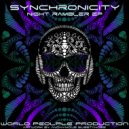 Synchronicity - Fisical Humans Machines