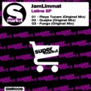 JamLimmat - Playa Tucam