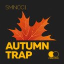 XVIII - Toller Part II (Original Mix)
