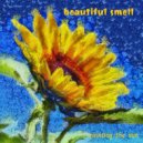 Beautiful Smell - Painting The Sun (Ray Mix)
