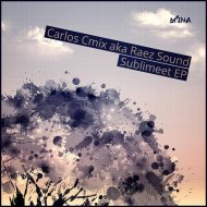 Carlos Cmix aka Raed sounz - Lizard