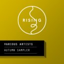 Birdee - Fire Flowerz Remix