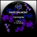 David Balmont - Caminante (Original Mix)