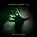 Fernando Garrido - Your Destiny (Original mix)