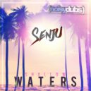 Senju - The Village (Original Mix)