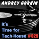 DJ Andrey Gorkin - It\'s Time For Tech House #029 ()