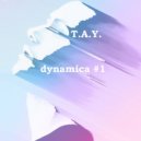 T.A.Y. - dynamica #1 ()