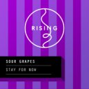 Sour Grapes - Stay For Now (Original Mix)