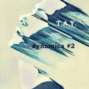 T.A.Y. - dynamica #2