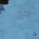 Luis Junior - Who Is She (Original Mix)