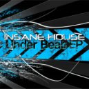 Insane House - Take Control (Original Mix)