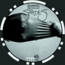 Quantic Spectroscopy - Shades Of Grey (Original mix)