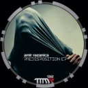 Amir Razanica - Predisposition