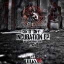 Sirio Gry J - Moth
